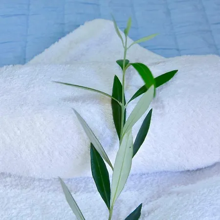 アパート Saroko コルフ島