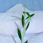 Apartmán Saroko Corfu (city)